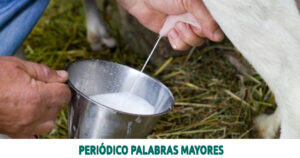 Lee más sobre el artículo Expendedores de leche cruda en Dosquebradas, deben registrarse