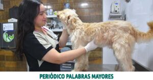 Lee más sobre el artículo Alcaldía de Dosquebradas custodia animales rescatados en Camilo Torres