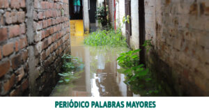 Lee más sobre el artículo La CARDER lideró coordinación técnica en Consejo Extraordinario de Gestión del Riesgo en La Virginia ante creciente del Río Cauca