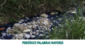 Lee más sobre el artículo Alcaldía de Dosquebradas actuó de manera contundente frente a un establecimiento por incumplimiento de requisitos y contaminación