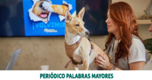 Lee más sobre el artículo Mascotatón 2026: La Gobernación y la Lotería del Risaralda lanzan la tercera edición para alimentar a perros y gatos vulnerables
