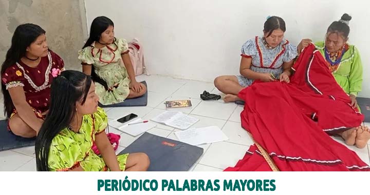 Lee más sobre el artículo Aprendió a leer de adulta y ahora transforma vidas como docente en su comunidad