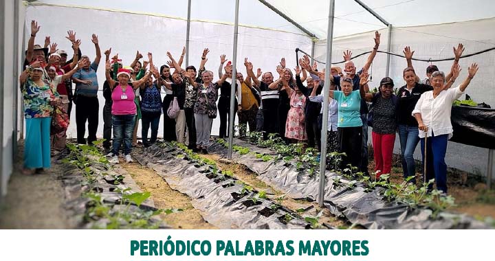 Lee más sobre el artículo Huerta comunitaria fortalece la seguridad alimentaria de 250 adultos mayores en Dosquebradas