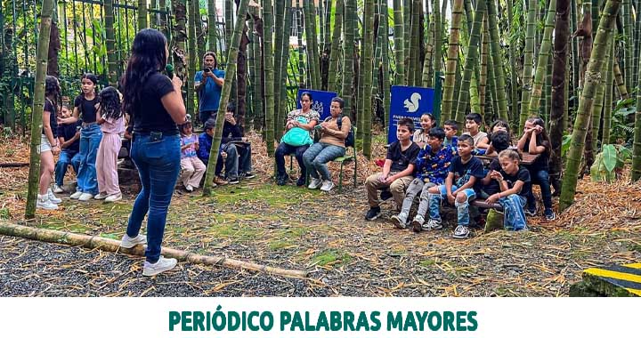 En este momento estás viendo Dosquebradas incentiva el cuidado del medio ambiente desde la infancia