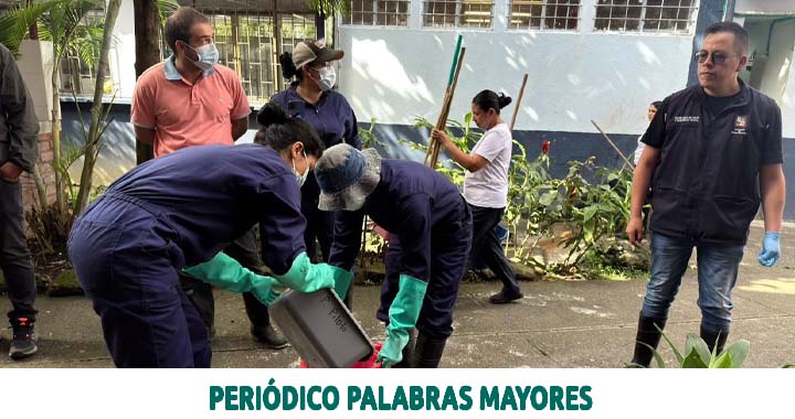 Lee más sobre el artículo Dosquebradas le ‘pone’ la lupa al caracol africano para proteger la salud de la comunidad