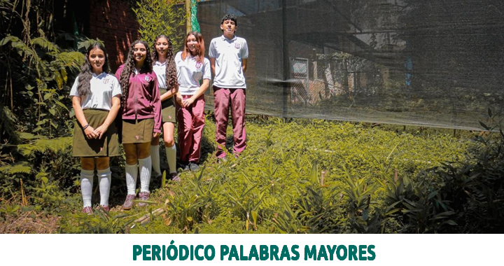 Lee más sobre el artículo Secretaría de Educación de Dosquebradas actúa ante denuncias de presunto adoctrinamiento político