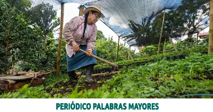 Lee más sobre el artículo Una mujer que encontró en el campo su razón de ser; homenaje a los campesinos risaraldenses