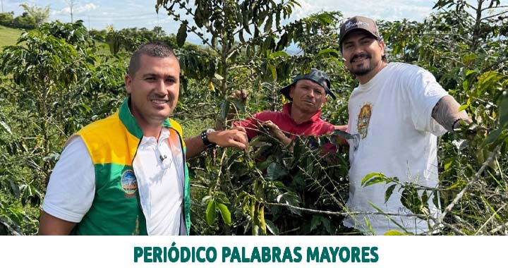Lee más sobre el artículo Café de Dosquebradas gana terreno con marcas propias, calidad y nuevos mercados
