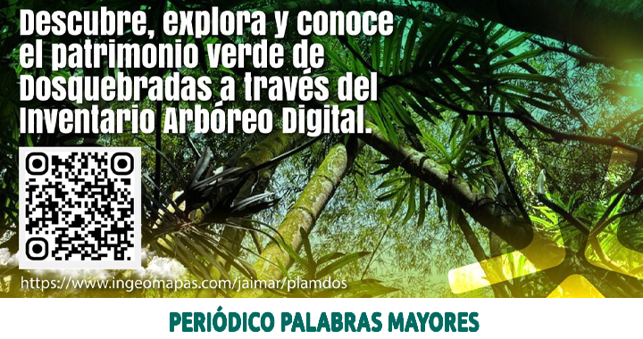 Lee más sobre el artículo Dosquebradas implementa plataforma digital para gestionar 8.855 árboles urbanos
