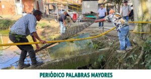 Lee más sobre el artículo Dosquebradas inició la recuperación del Lago 1 de La Pradera