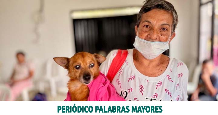 Lee más sobre el artículo Alcaldía de Dosquebradas lleva bienestar animal a más de 180 perros y gatos de Pueblo Sol Bajo
