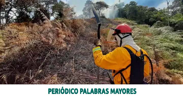 Lee más sobre el artículo El departamento de Risaralda registra 24 incendios de cobertura vegetal durante septiembre